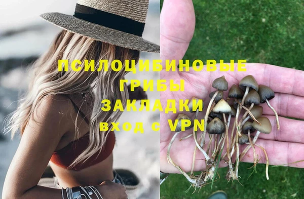мет Иннополис
