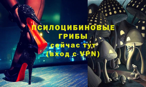 эйфоретик Инта