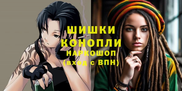 шишки Чекалин