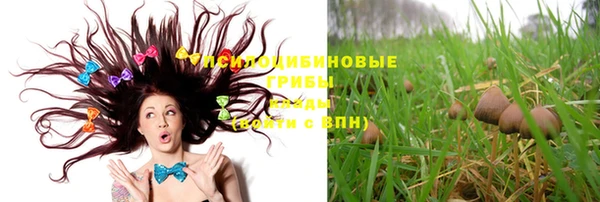 эйфоретик Инта