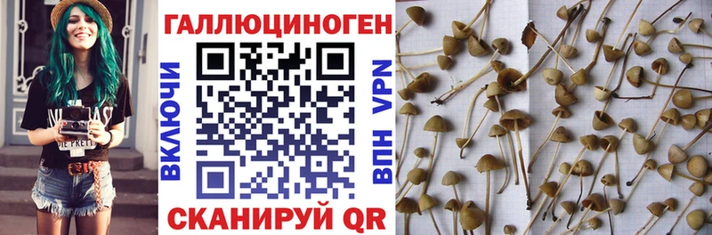 Купить закладки  Лесозаводск  Галлюциногенные грибы MAGIC MUSHROOMS 